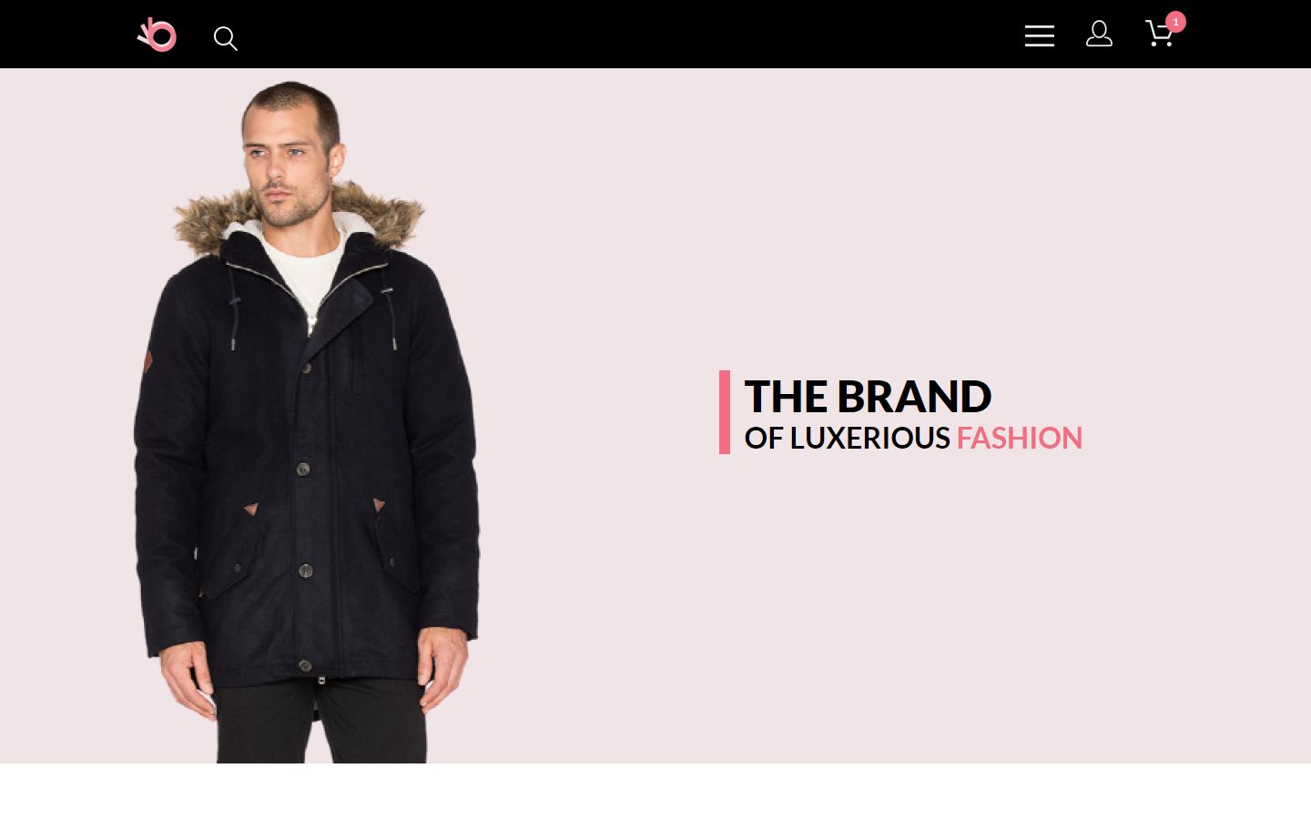 Online-shop The Brand